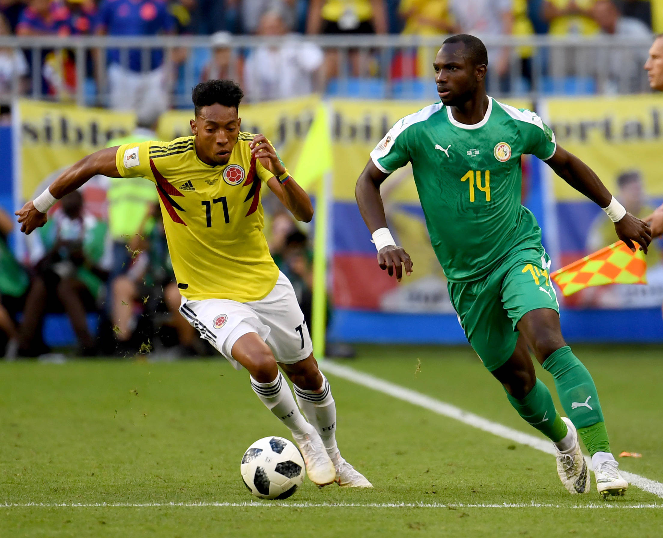 职业可持续 职业可持续